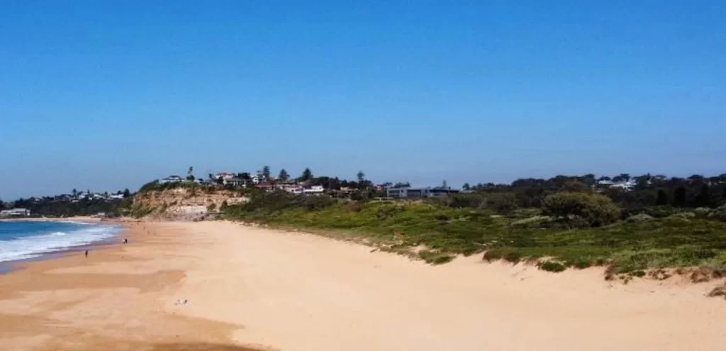 Mona Vale beach