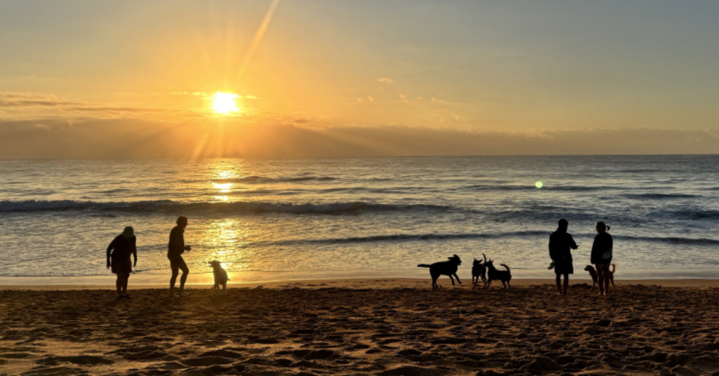 Mona Vale